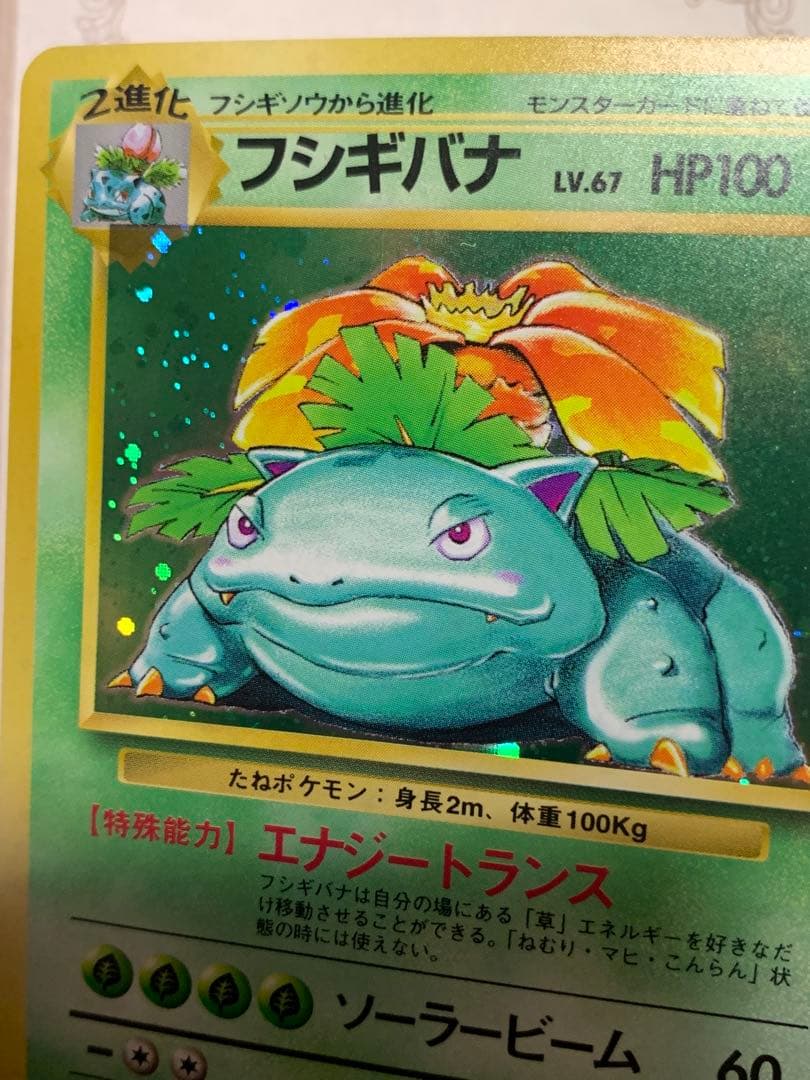 ポケモンカード 初期 フシギバナ キラ No.003 旧裏面 当時物 希少