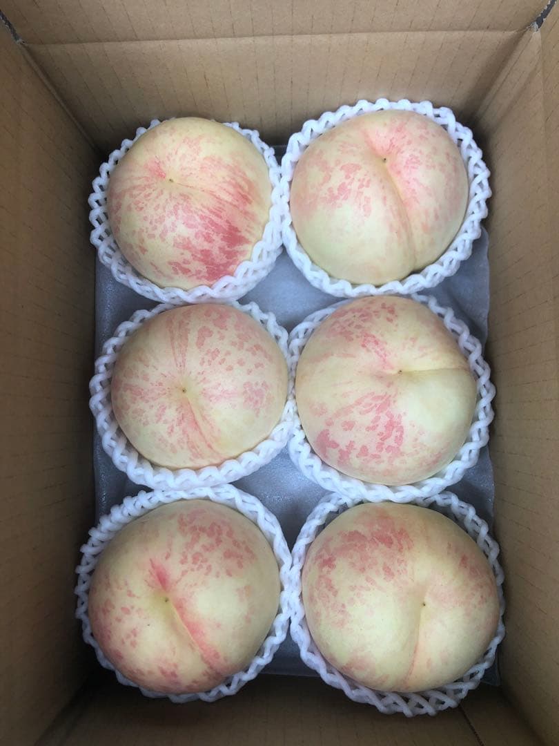 569.数量限定福島產希少品種CXシーエクス硬め桃箱込み5kg家庭用美品