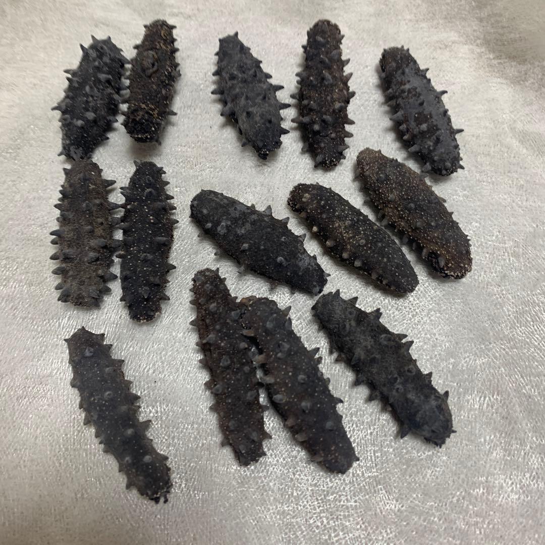 乾燥海参 A品101g