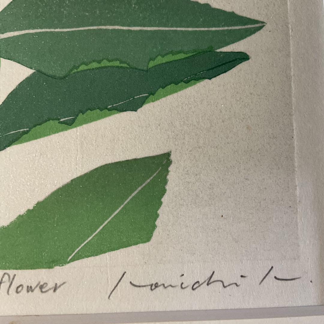 シルクスクリーン chinese bellflower 25/75