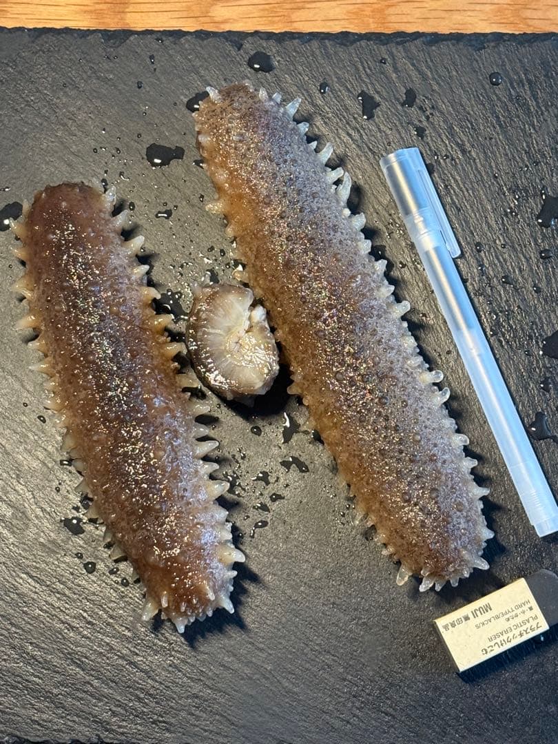 乾燥　沖なまこ　ナマコ　500g A品