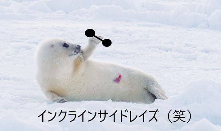 あじら2002商談ページʕ•ᴥ•ʔ