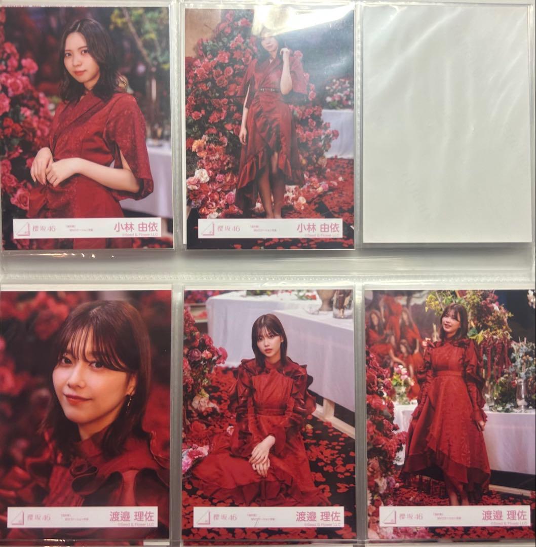 櫻坂 生写真 まとめ売り