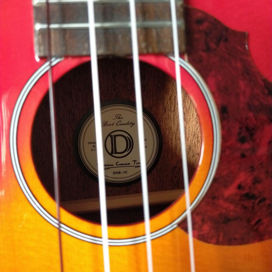 ウクレレ　コンサートsize