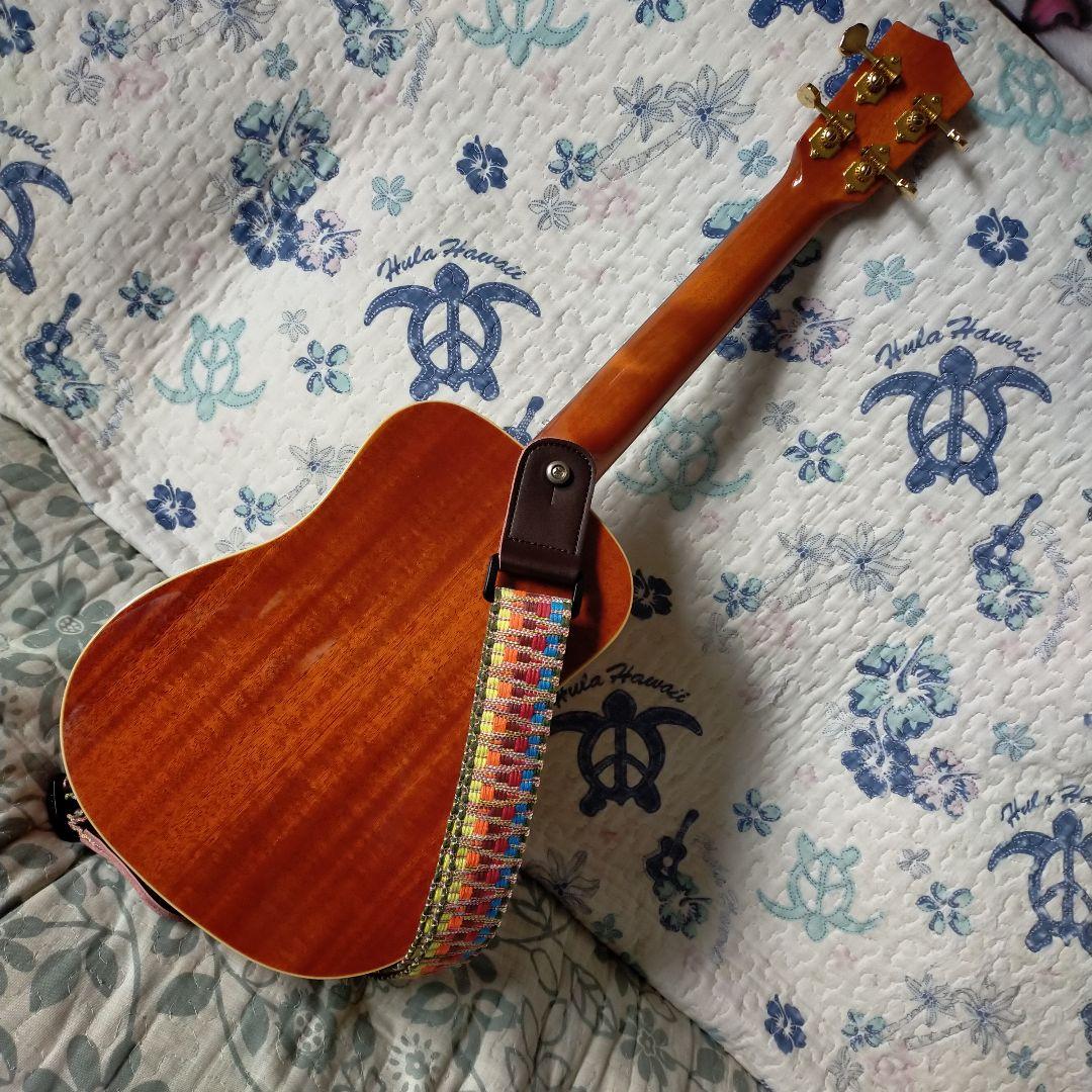 ウクレレ　コンサートsize