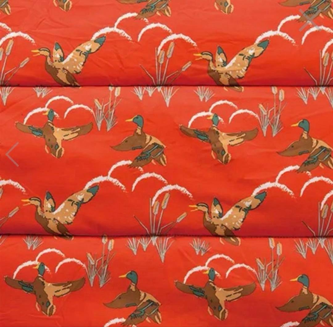 Coleman コールマン シュラフ 寝袋 コージーⅡ 2点セット