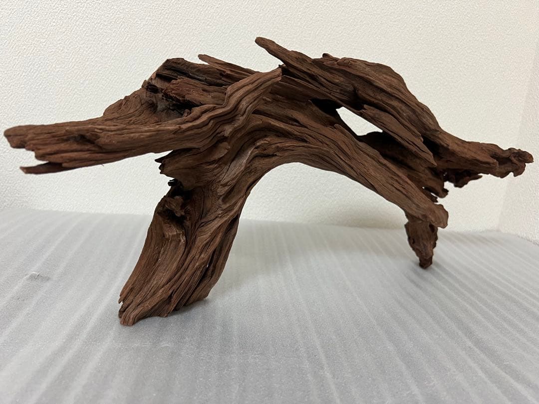 HX-062流木　ホーンウッド　マシンガンウッド　アクアリウム　ブランチウッド