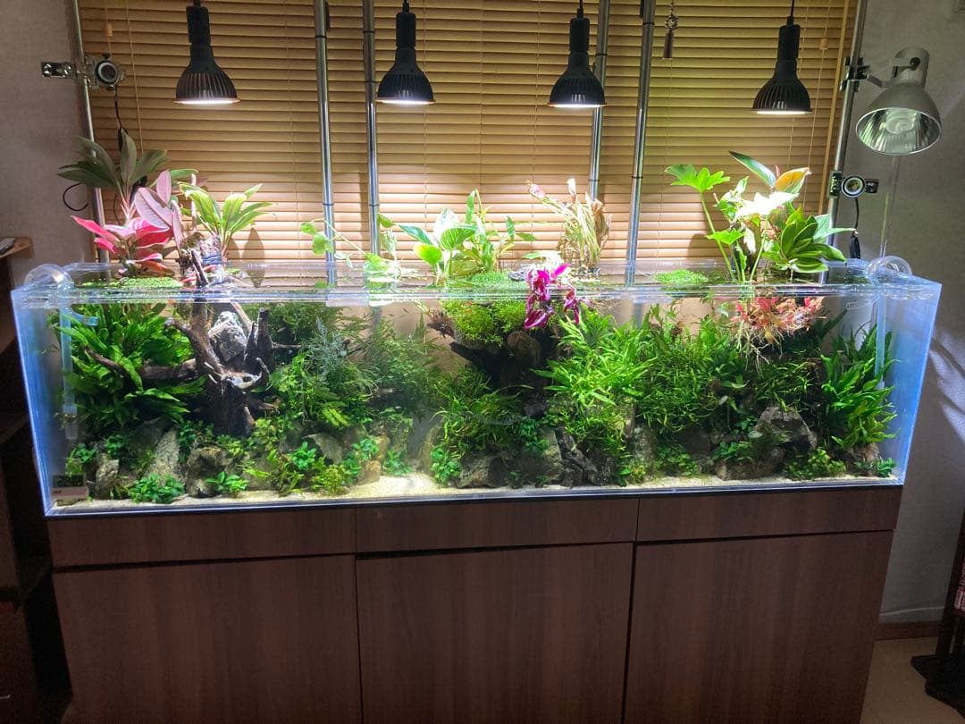 ひわ　大型アクリル水槽 横1800x高さ450x奥行き300mm 水槽のみ