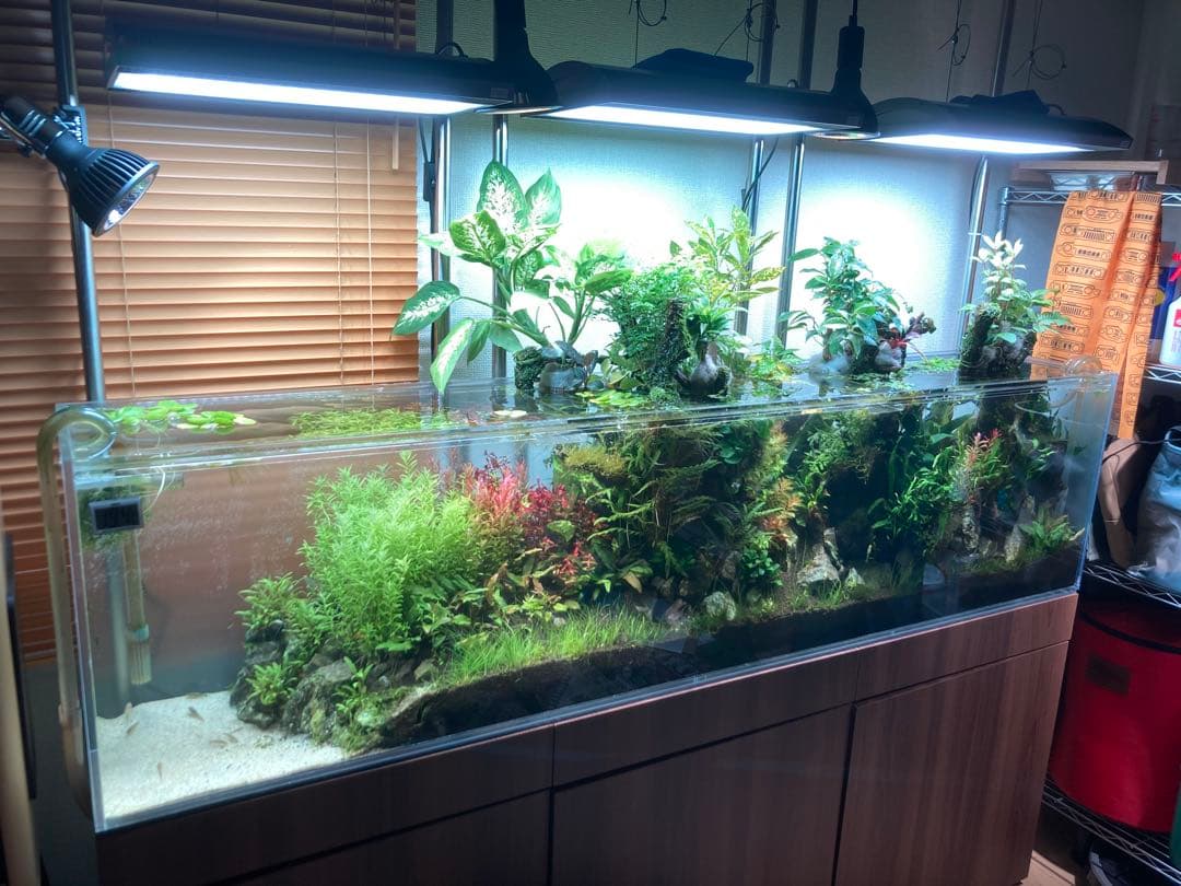 ひわ　大型アクリル水槽 横1800x高さ450x奥行き300mm 水槽のみ