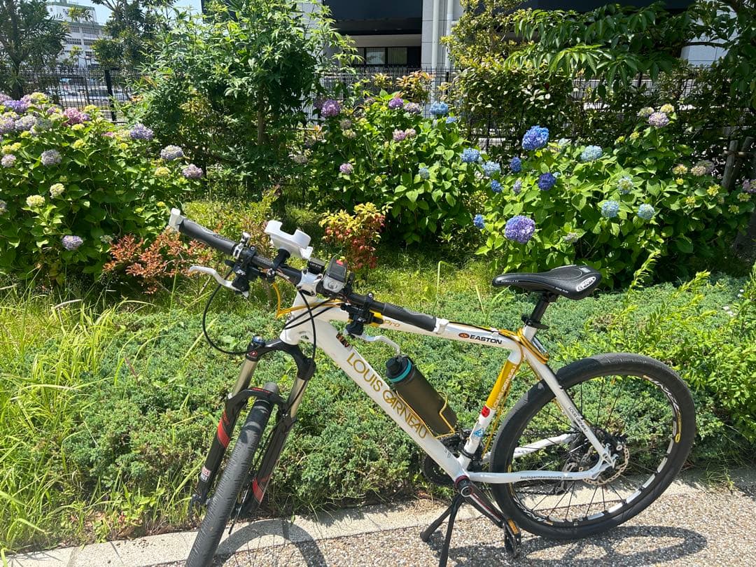 2009年ルイガノ　マウンテンバイク　 LGS-XC RACE PRO直1万引き