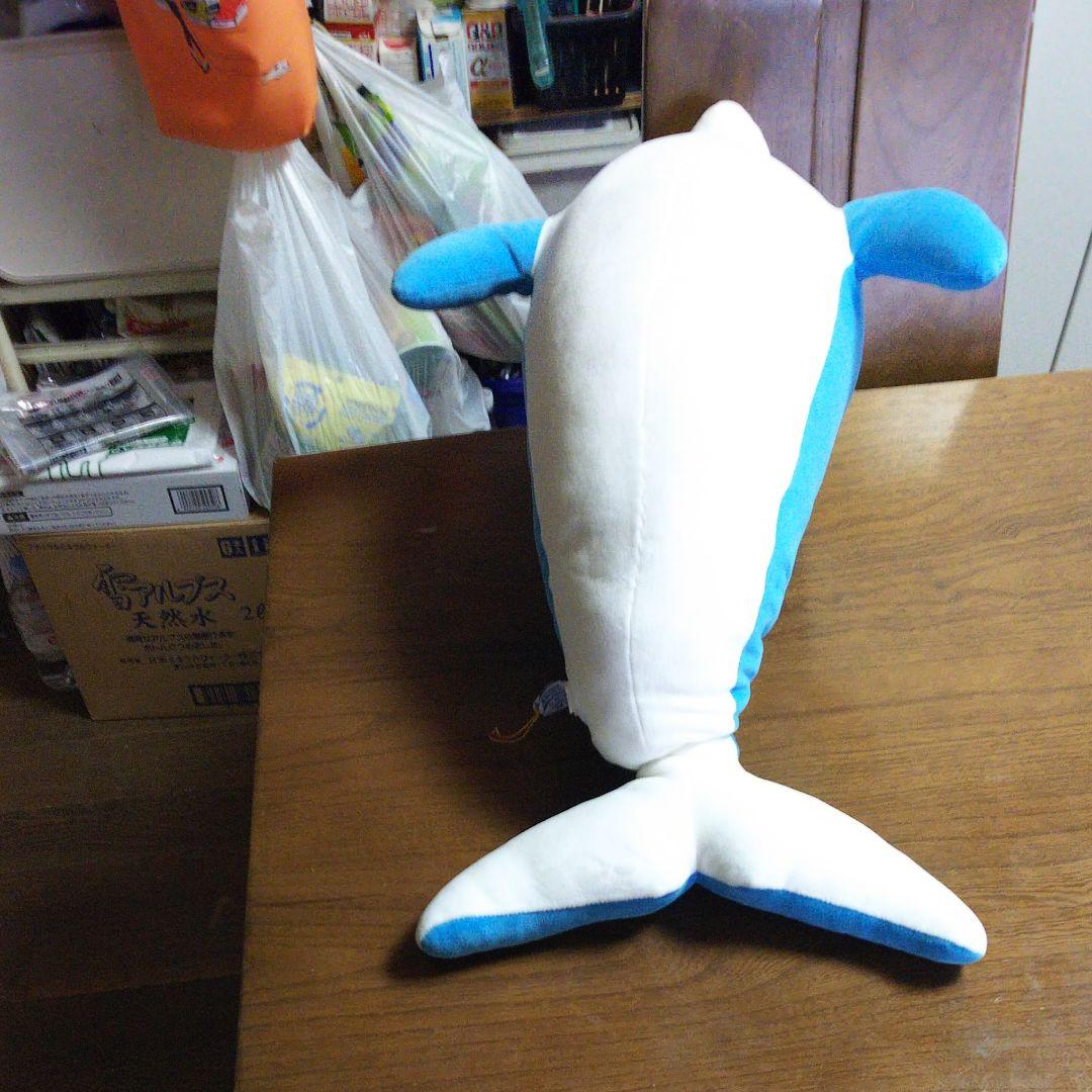 イルカぬいぐるみ