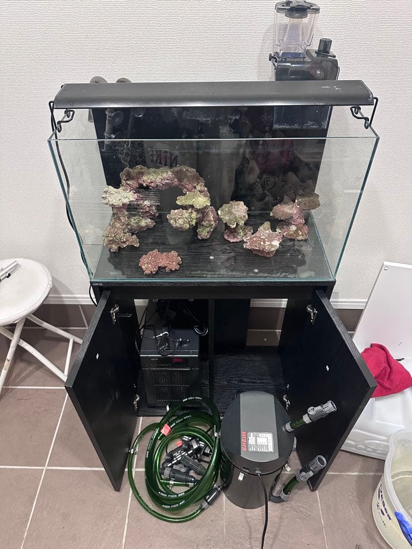 <海水魚・サンゴ即飼育>60cmガラス水槽　セット売り