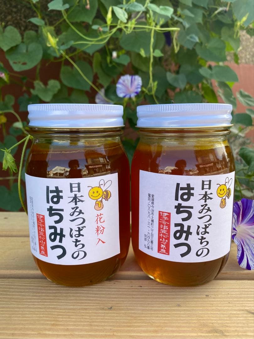 はちみつ　日本蜜蜂のハチミツ　奥山の奥の蜂蜜と花粉入りハチミツ