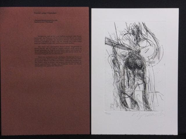 シマンスキー　菅井汲　8点入『パブリック・ローズ：ブルスバーグ文書』0723ZC