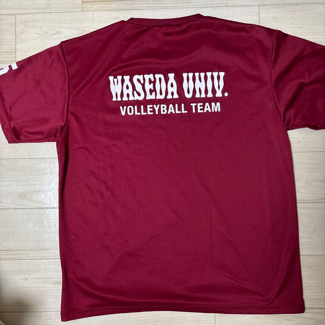 早稲田大学バレーボールチームウェア 2024
