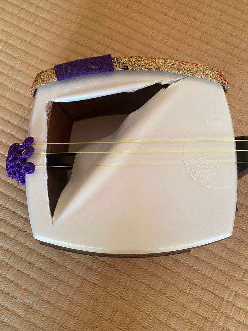 三味線 本体 表皮破れあり