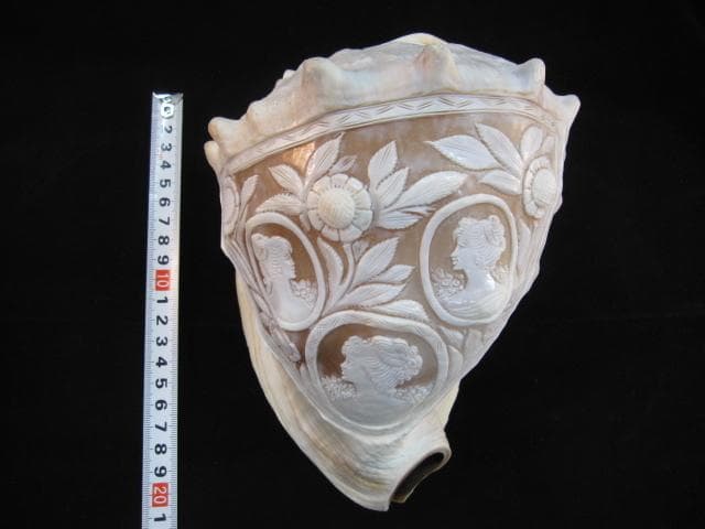 カメオ細工　クチグロトウカムリ　イタリア