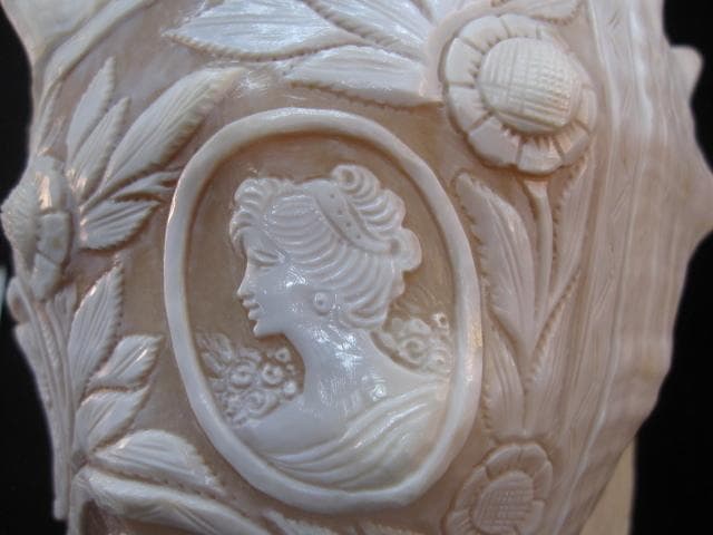カメオ細工　クチグロトウカムリ　イタリア