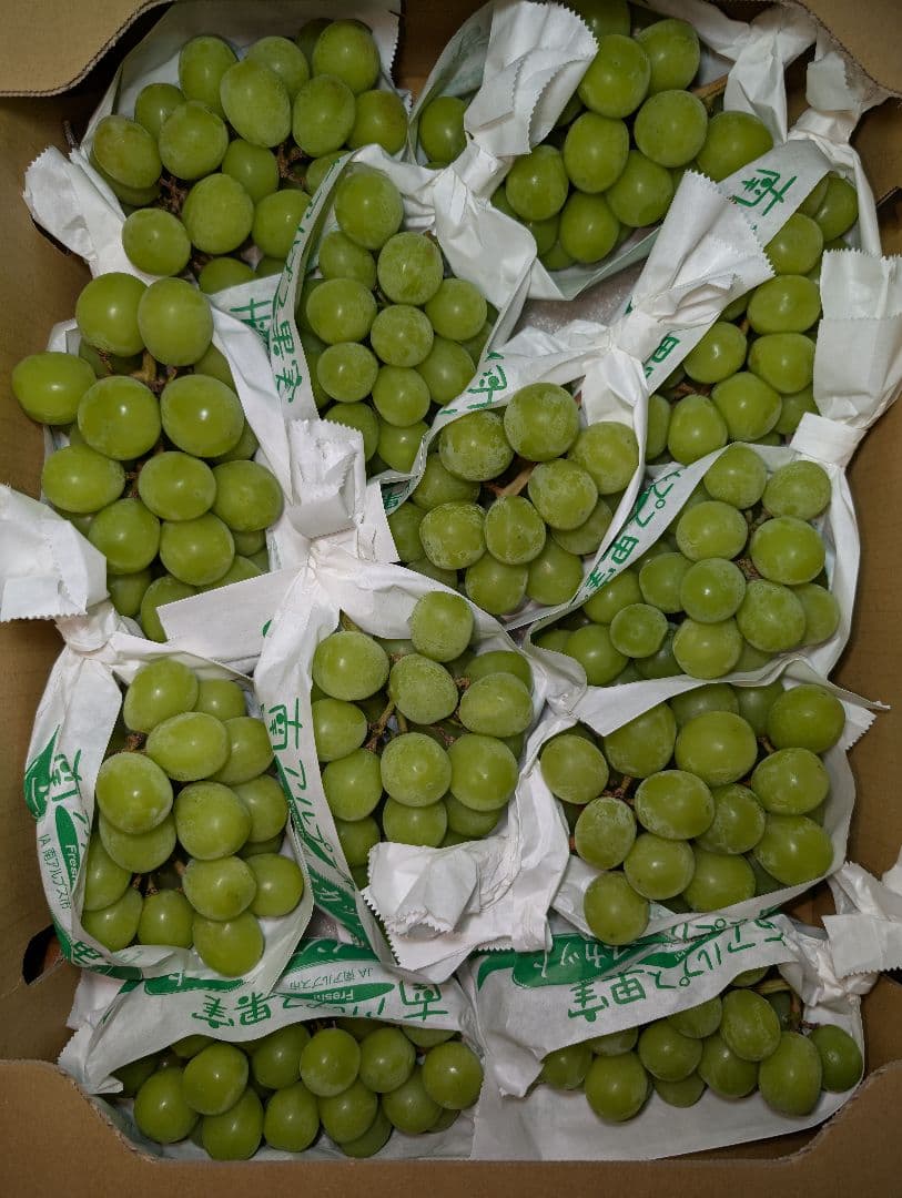 山梨県産ぶどう　シャインマスカット　12房入り箱込み約5.5kg