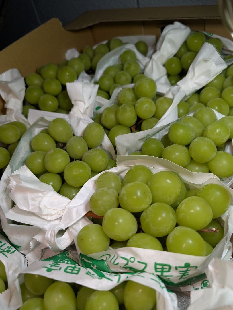 山梨県産ぶどう　シャインマスカット　12房入り箱込み約5.5kg