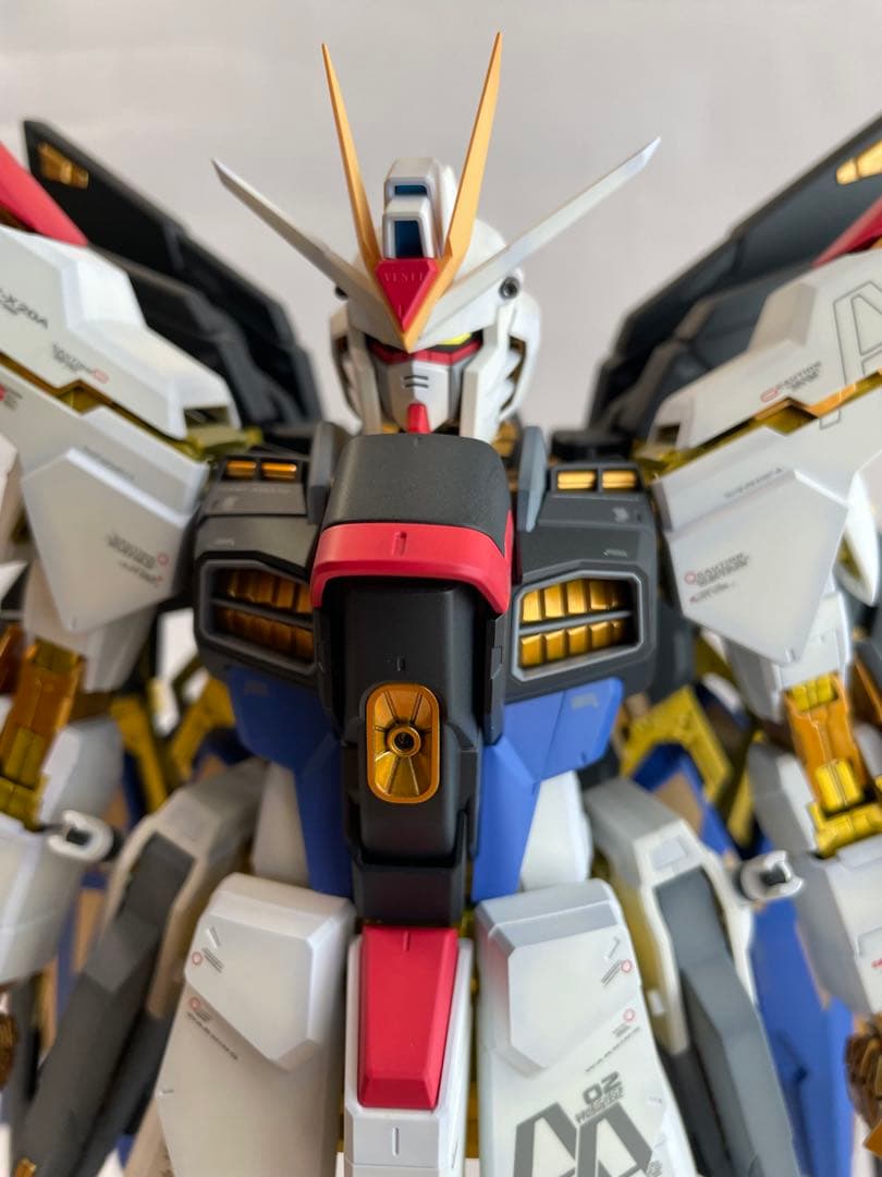 PG ストライクフリーダム ガンダム 塗装済完成品 1/60