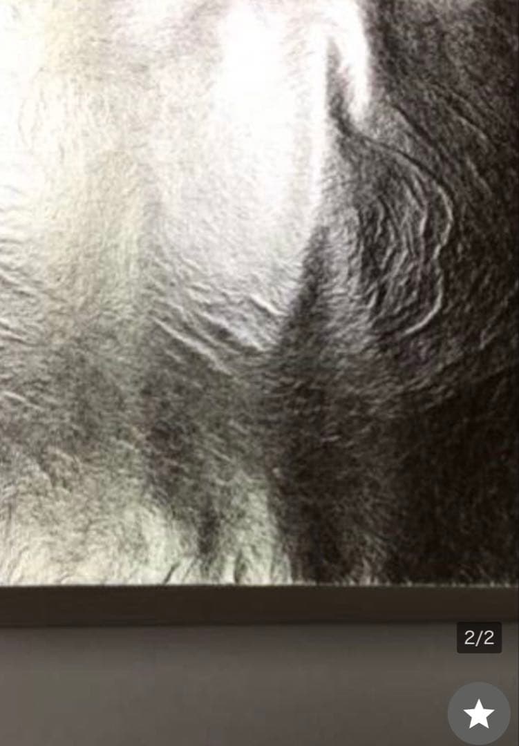 洋金箔200枚　純銀箔300枚