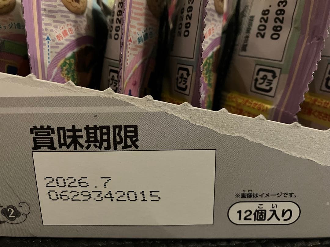 ディズニー刺繍缶バッチ　12個入りBOX ボックス　ズートピア　12個セット