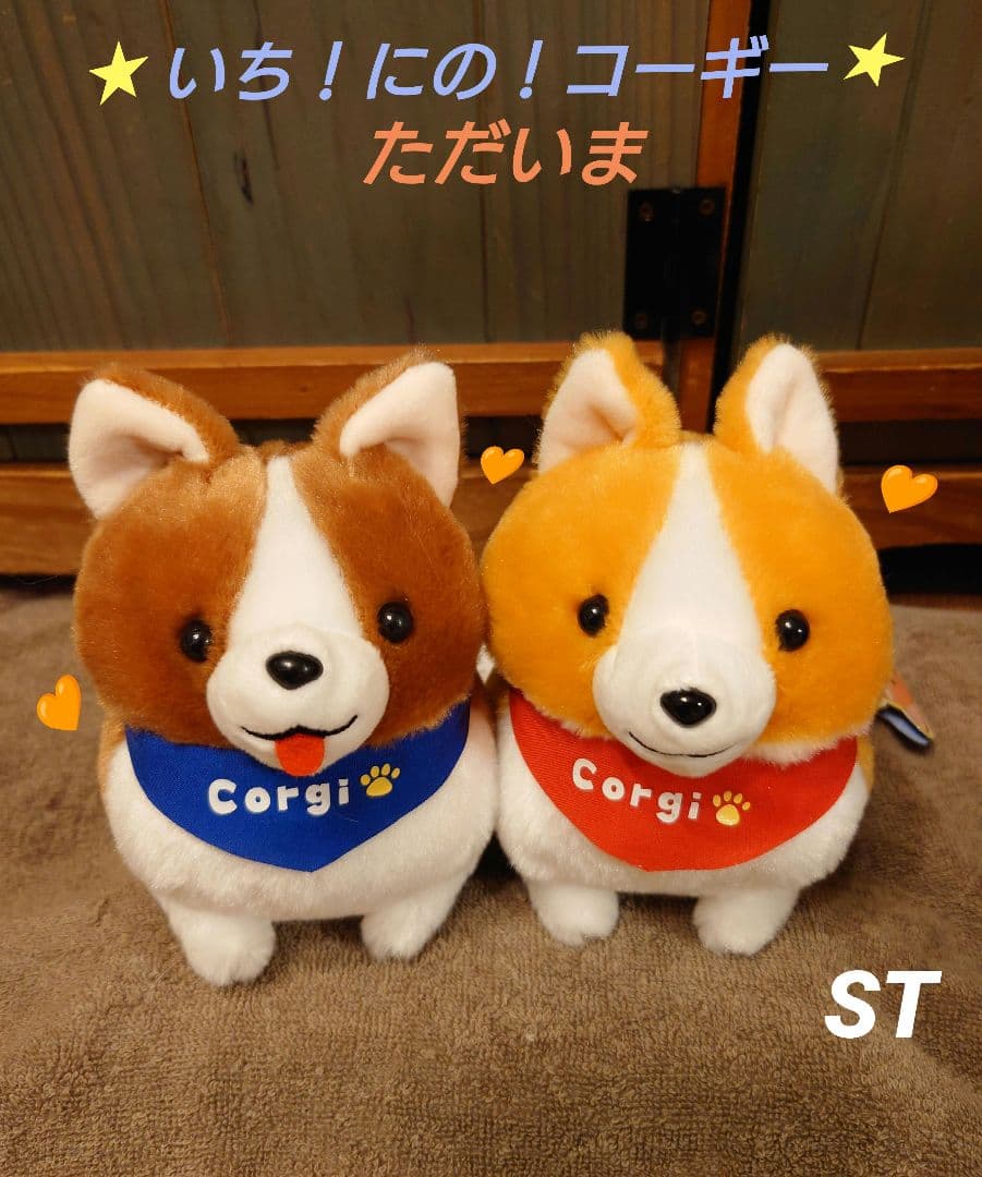いち！にの！コーギー【新作】ただいま  STセット