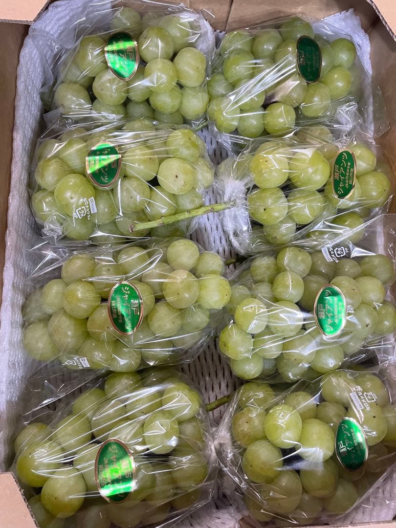 ②【岡山県産】瀬戸ジャイアンツ　7〜12房　約5キロ