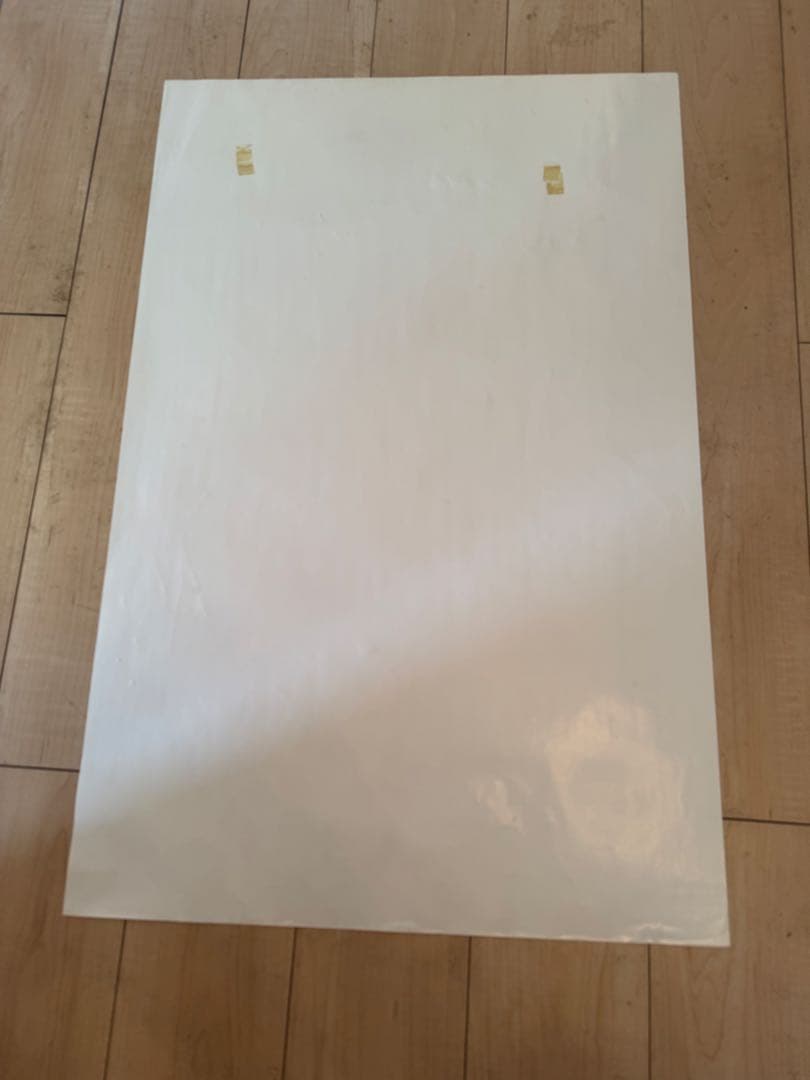 パメラアンダーソン★海外モデル★希少★激レア