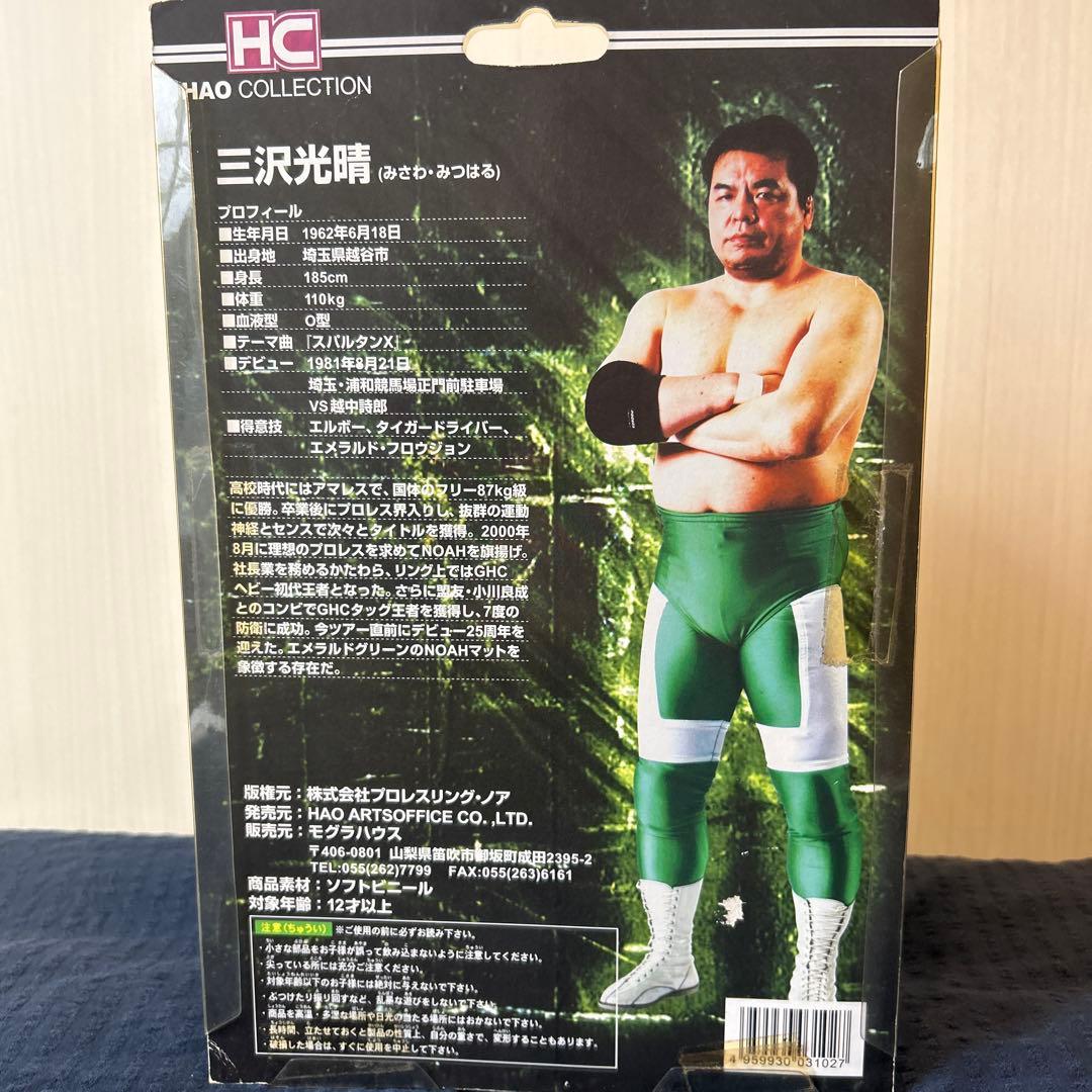 三沢光晴　HAO コレクション