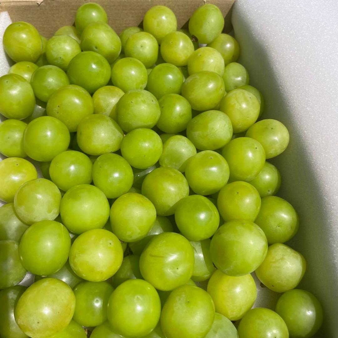 ak55 山梨県産　シャインマスカット　葡萄　グレープ　粒　箱込み5kg