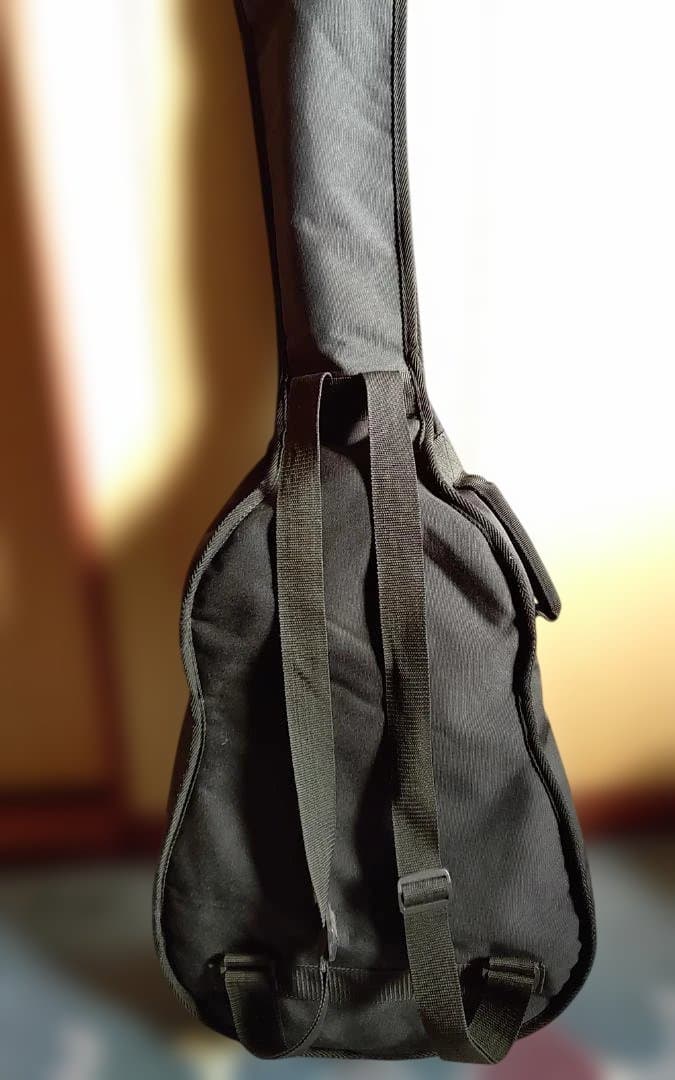 最終大幅値引き‼️美品❗Grecoグレコ　GAL-30P　エレアコ