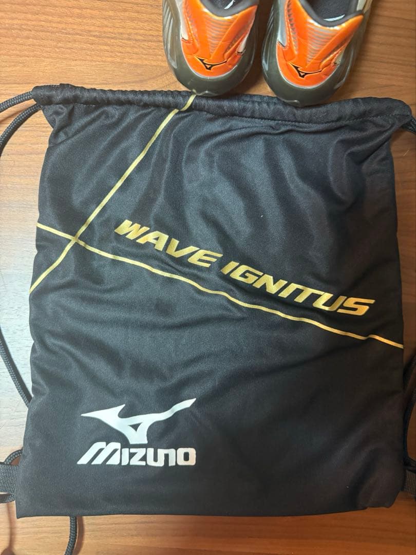 Mizuno ウェーブイグニタス 26.0センチ