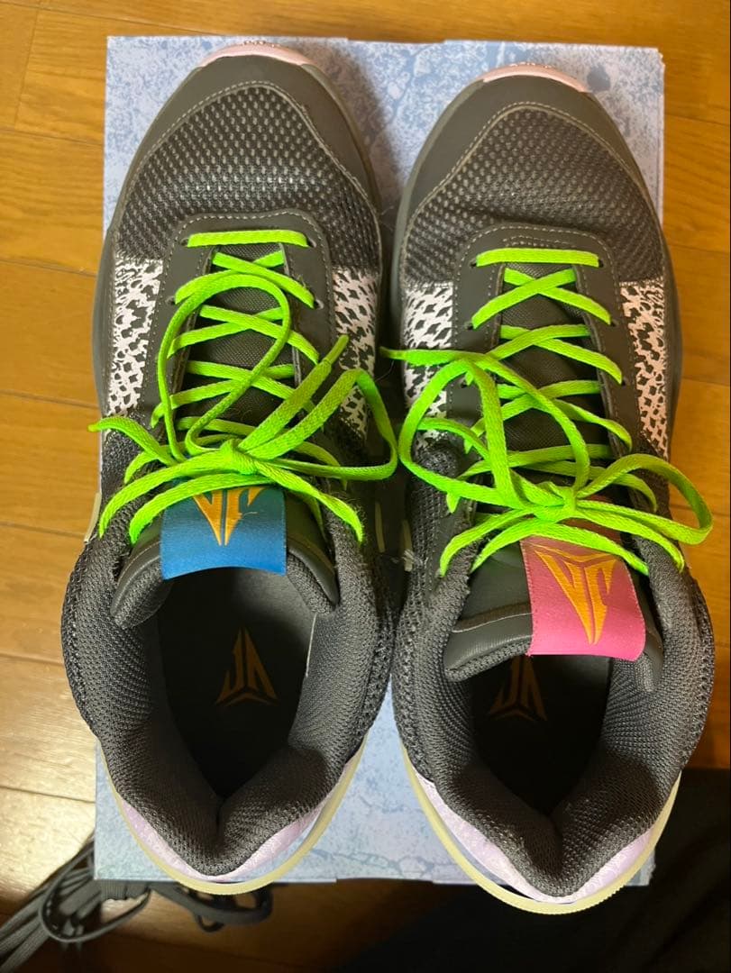 シューズ(男性用) Nike JA 1 EP