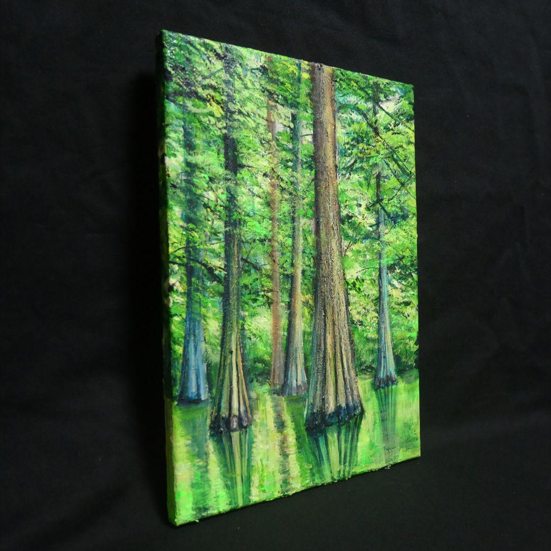 油絵 油彩 油彩画 絵 絵画 絵【水面に映るラクウショウの森﻿】
