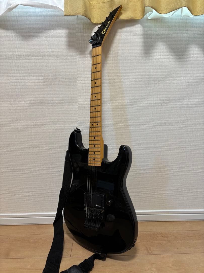 エレキギター CHARVEL P.O.Box2344 TX76113