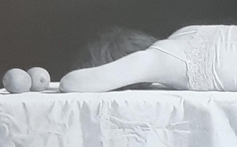 三浦明範、「The Forbidden Fruits」、希少画集の額装画