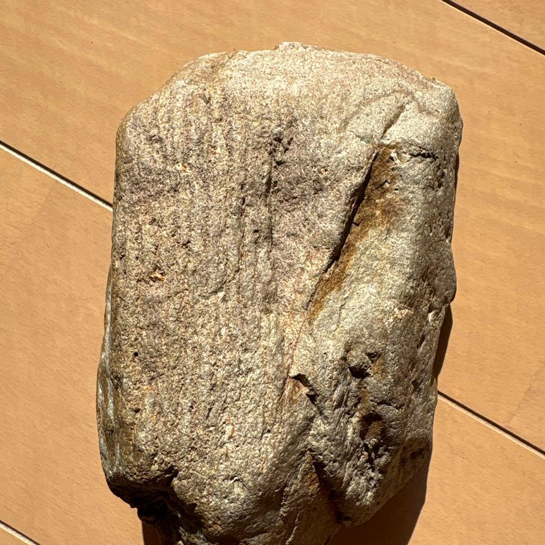 化石模様の岩石