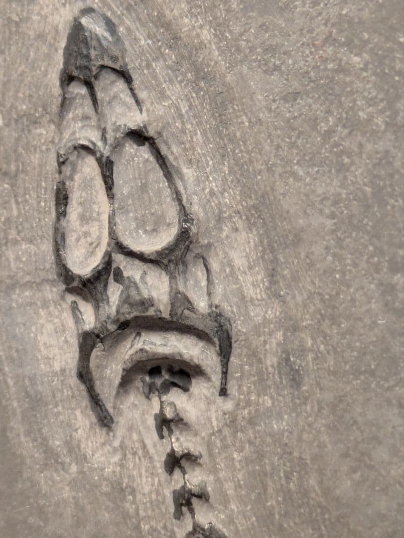 ケイチョウサウルス　化石　博物館級　地学　標本