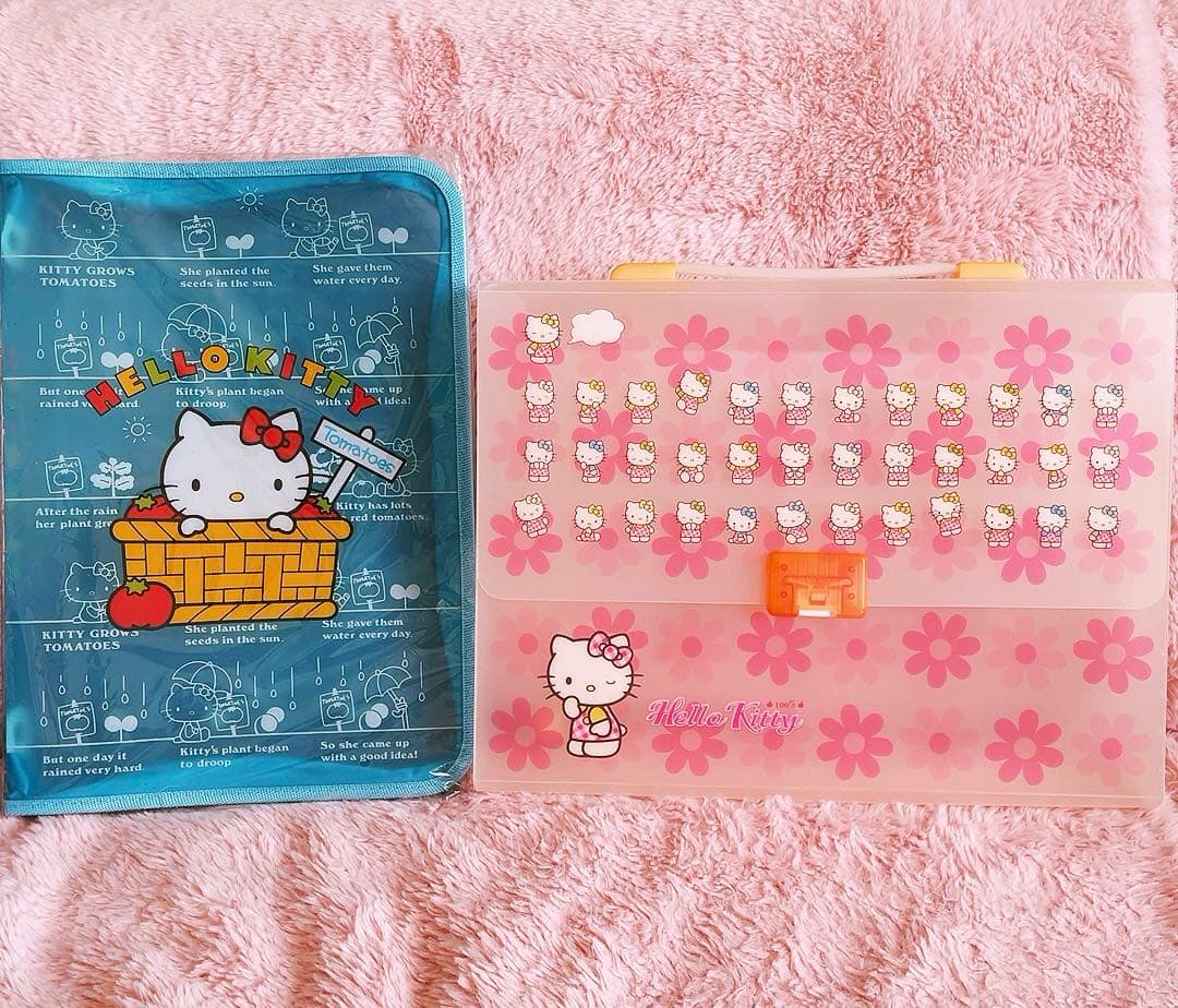 希少レア　ハローキティ　マルチケース　2001 2004年製 サンリオ　レトロ