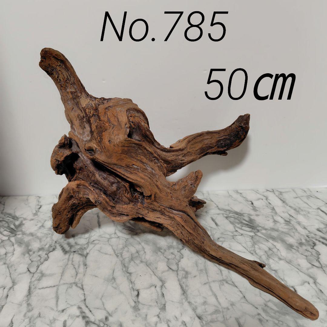 アク抜き済み流木【785】セール