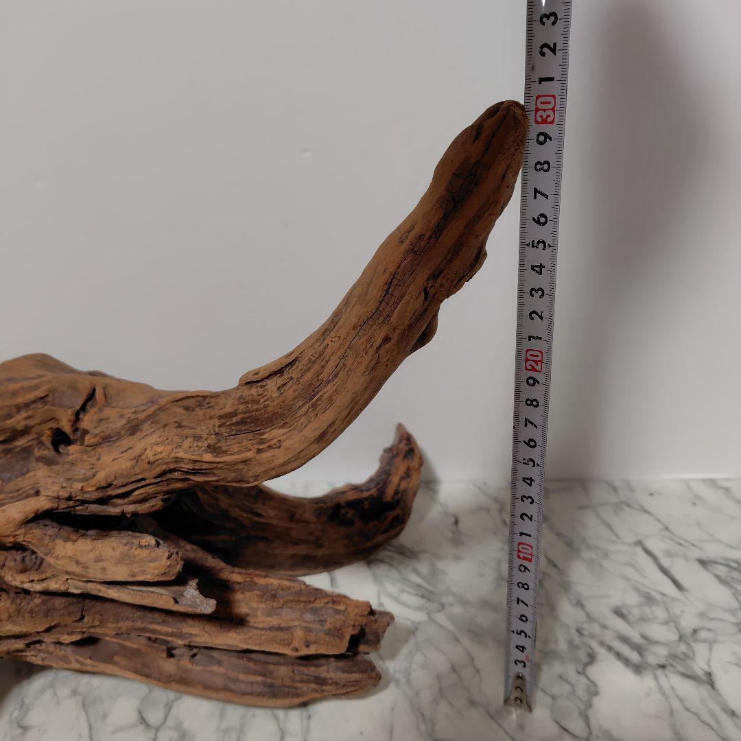 アク抜き済み流木【785】セール