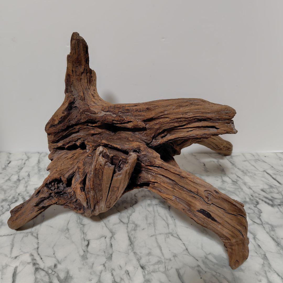 アク抜き済み流木【785】セール