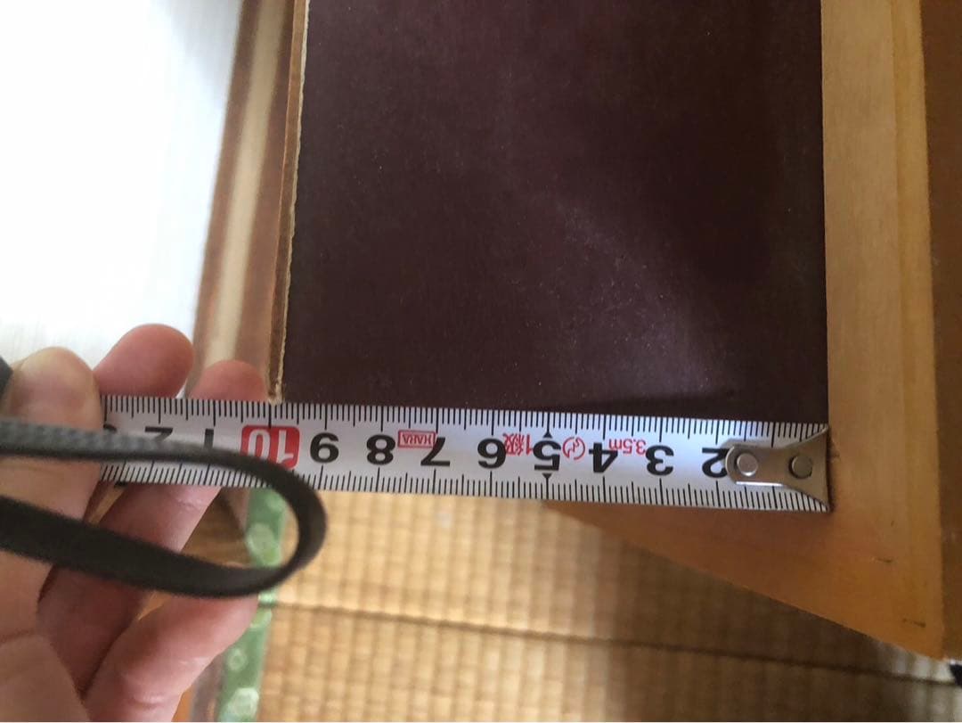 サクラマス 標本　剥製　フレーム入り