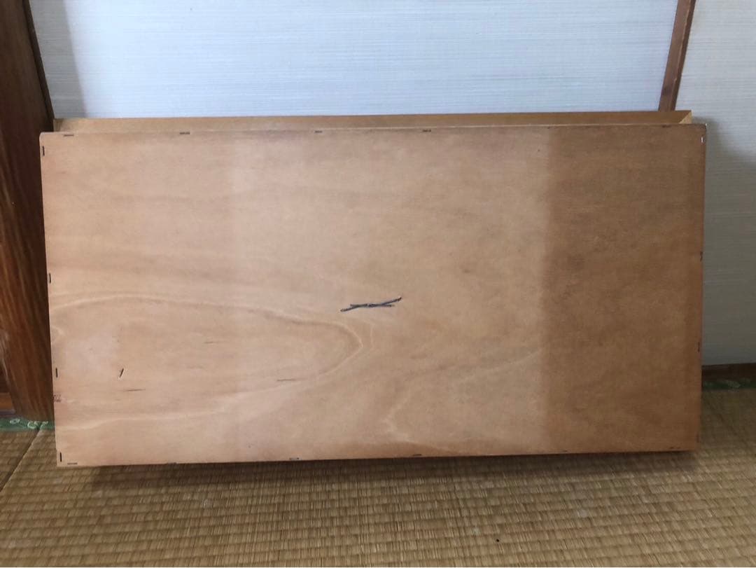 サクラマス 標本　剥製　フレーム入り