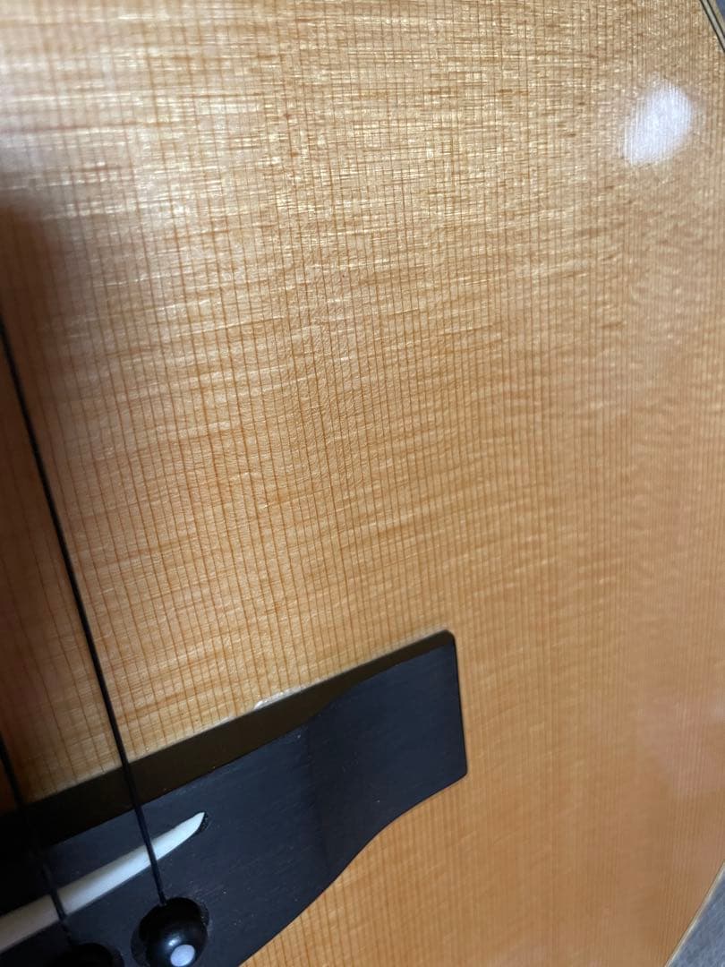 ギター Lakewood A-45 Custom Ziricote Europian