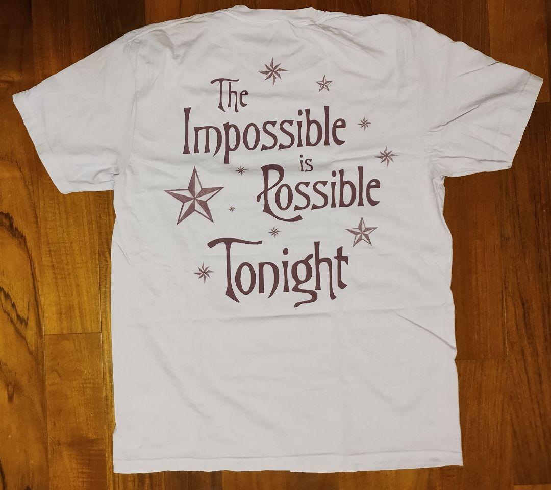 スマッシング・パンプキンズ メロンコリー30周年限定 Tonight Tシャツ