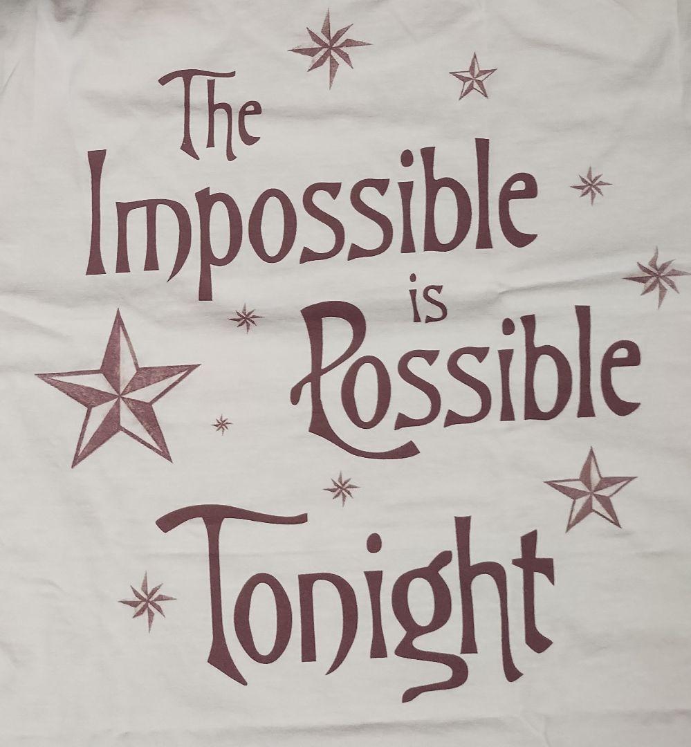 スマッシング・パンプキンズ メロンコリー30周年限定 Tonight Tシャツ