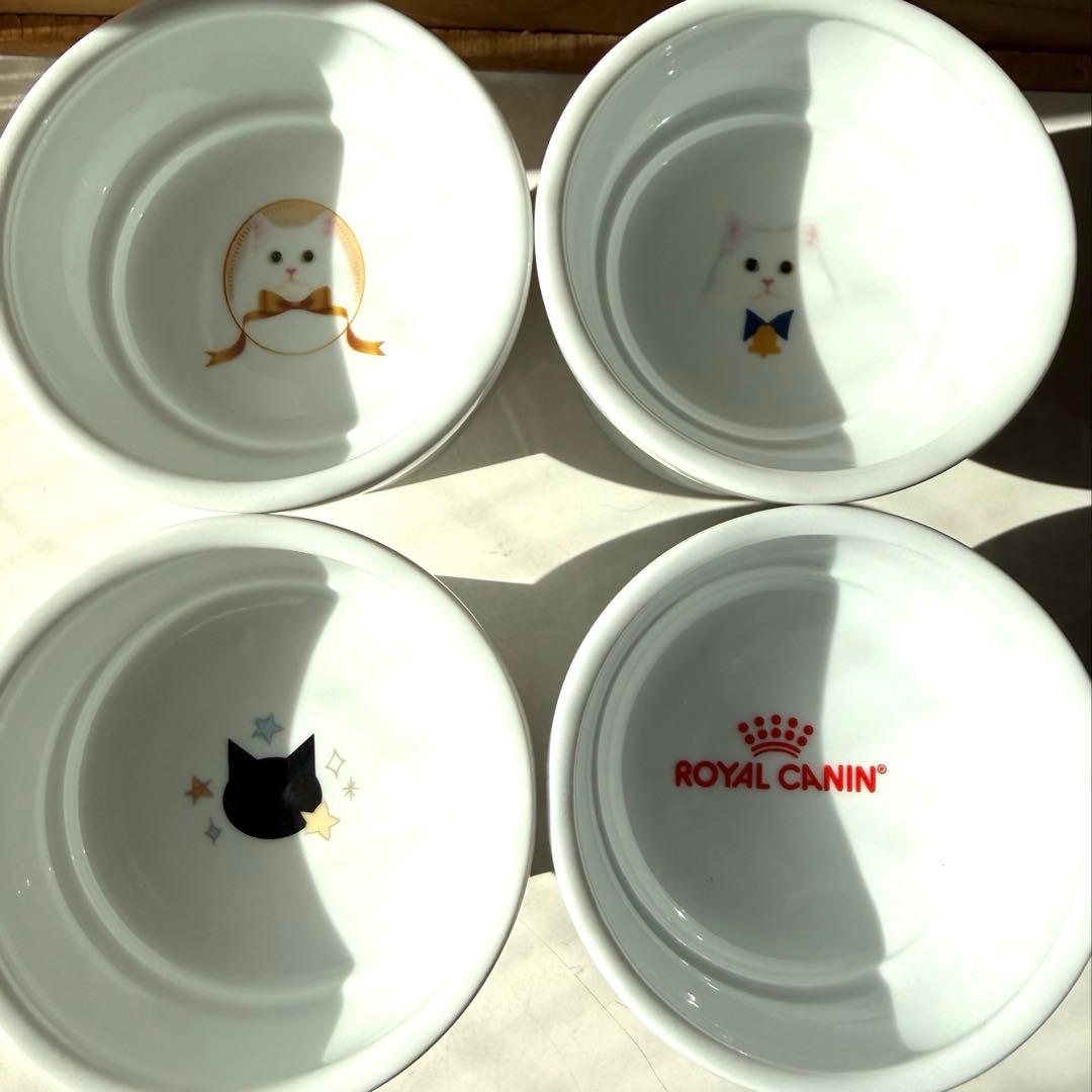 猫壱　ハッピーダイニング　おやつ皿　限定柄